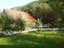 Casa cu Meri - accommodation in  Hateg Country (17)