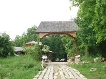 Casa cu Tei - alloggio in  Valea Buzaului (21)