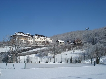 Casa cu Tei - accommodation in  Buzau Valley (22)