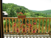 Casa cu Tei - accommodation in  Buzau Valley (23)