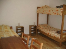 Vila Sucu - accommodation in  Hateg Country (09)