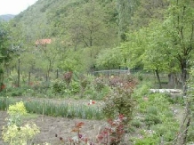 Casa Trapsa - alloggio in  Valea Cernei, Herculane (02)