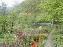 Casa Trapsa - alloggio in  Valea Cernei, Herculane (05)