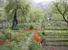 Casa Trapsa - alloggio in  Valea Cernei, Herculane (13)