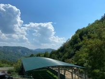 Pensiunea Nicoara - alloggio in  Valea Buzaului (04)
