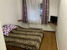 Pensiunea Nicoara - accommodation in  Buzau Valley (69)