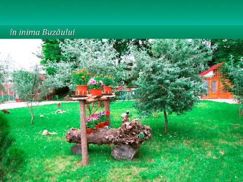 Casa Matei - cazare Valea Buzaului (Activitati si imprejurimi) Casa Matei - cazare Valea Buzaului (Activitati si imprejurimi)