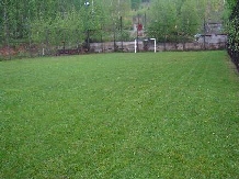 Pensiunea Cara - accommodation in  Hateg Country (08)