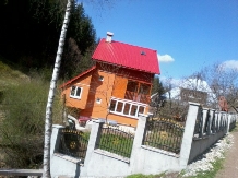 Pensiunea Lazea - accommodation in  Apuseni Mountains, Motilor Country, Arieseni (07)