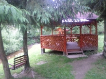 Pensiunea Lazea - accommodation in  Apuseni Mountains, Motilor Country, Arieseni (17)