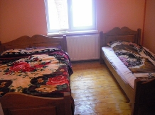 Pensiunea Lazea - accommodation in  Apuseni Mountains, Motilor Country, Arieseni (25)