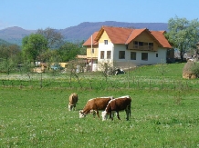 Pensiunea Codru - alloggio in  Apuseni, Tara Motilor, Arieseni (15)