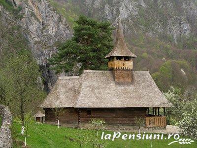 Pensiunea Codru - accommodation in  Apuseni Mountains, Motilor Country, Arieseni (Surrounding)
