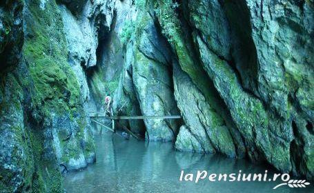 Pensiunea Codru - accommodation in Apuseni Mountains, Motilor Country, Arieseni (Surrounding) Pensiunea Codru - accommodation in Apuseni Mountains, Motilor Country, Arieseni (Surrounding)