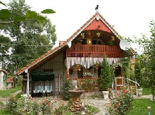 Rural accommodation at  Pensiunea La Ionica