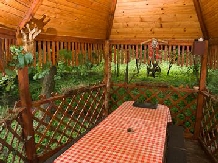 Pensiunea La Ionica - accommodation in  Apuseni Mountains (02)
