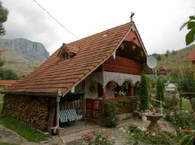 Pensiunea La Ionica - accommodation in  Apuseni Mountains (06)