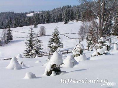 Pensiunea La Ionica - alloggio in  Apuseni (Attivit&agrave; e i dintorni)