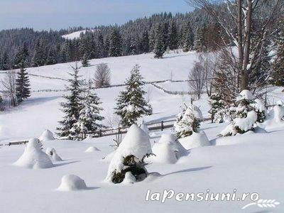 Pensiunea La Ionica - accommodation in  Apuseni Mountains (Surrounding)