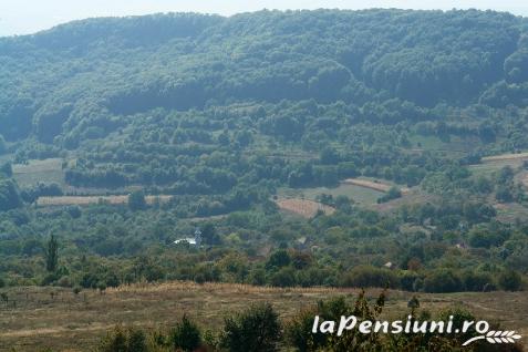 Pensiunea La Ionica - accommodation in  Apuseni Mountains (Surrounding)