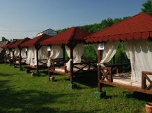 Pensiunea Caprice - accommodation in  Buzau Valley (13)