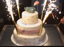 Pensiunea Caprice - alloggio in  Valea Buzaului (28)