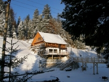 Cabana Cota 1000 Arieseni - accommodation in  Apuseni Mountains, Motilor Country, Arieseni (11)