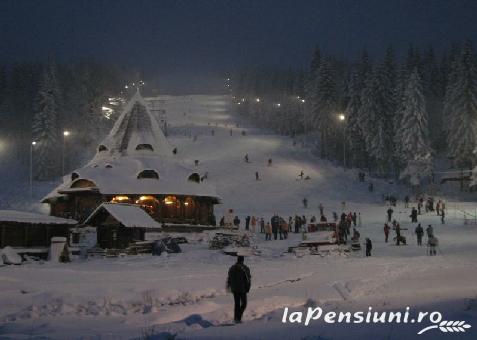 Pensiunea Adina - accommodation in  Maramures Country (Surrounding)