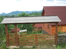 Pensiunea Adriana - accommodation in  Maramures Country (08)