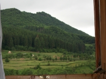 Pensiunea Adriana - accommodation in  Maramures Country (09)