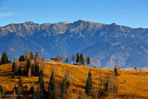 Pensiunea Daiana - alloggio in  Gura Humorului, Voronet, Bucovina (Attivit&agrave; e i dintorni)