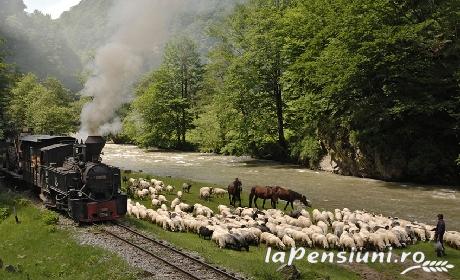 Pensiunea Magnolia - cazare Tara Maramuresului (Activitati si imprejurimi)