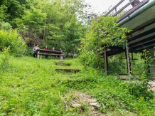 Pensiunea Iedera - alloggio in  Apuseni, Transalpina (04)