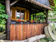 Pensiunea Iedera - accommodation in  Apuseni Mountains, Transalpina (20)