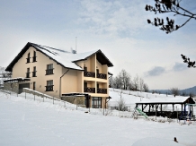 Pensiunea Casa Humor - accommodation in  Gura Humorului, Voronet, Bucovina (07)