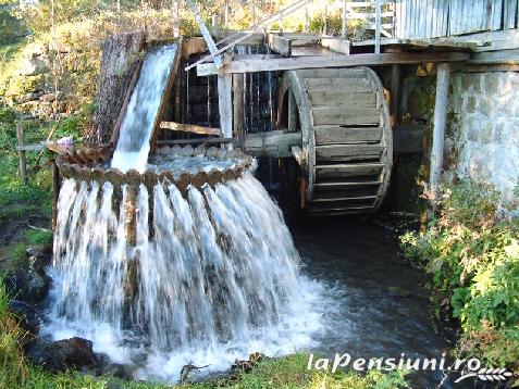 Cabana Cascada - alloggio in  Apuseni (Attivit&agrave; e i dintorni)