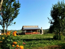 Pensiunea Cristiana - accommodation in  Gura Humorului, Bucovina (15)