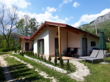 Casa de vacanta Valisoara - accommodation in  Apuseni Mountains (25)