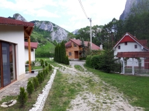 Casa de vacanta Valisoara - alloggio in  Apuseni (34)