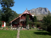 Casa de vacanta Valisoara - alloggio in  Apuseni (37)