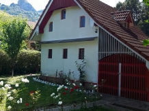 Casa de vacanta Valisoara - alloggio in  Apuseni (38)