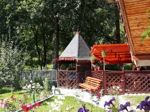 Casa de vacanta Valisoara - accommodation in  Apuseni Mountains (45)