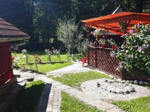 Casa de vacanta Valisoara - alloggio in  Apuseni (47)