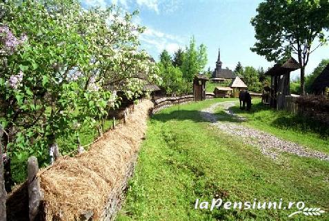 Casa Muntean - accommodation in  Maramures Country (Surrounding)