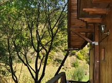 LapeVila Ramet - accommodation in  Apuseni Mountains (16)