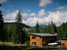 Pensiunea Iara - accommodation in  Apuseni Mountains, Motilor Country, Arieseni (23)