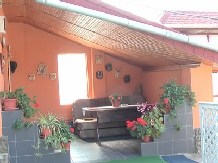 Pensiunea Foisor - accommodation in  Banat (02)