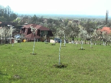 Pensiunea Foisor - accommodation in  Banat (05)