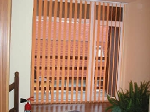 Pensiunea Foisor - accommodation in  Banat (09)