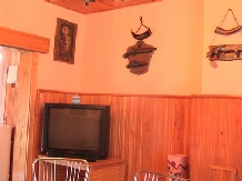 Pensiunea Foisor - accommodation in  Banat (11)